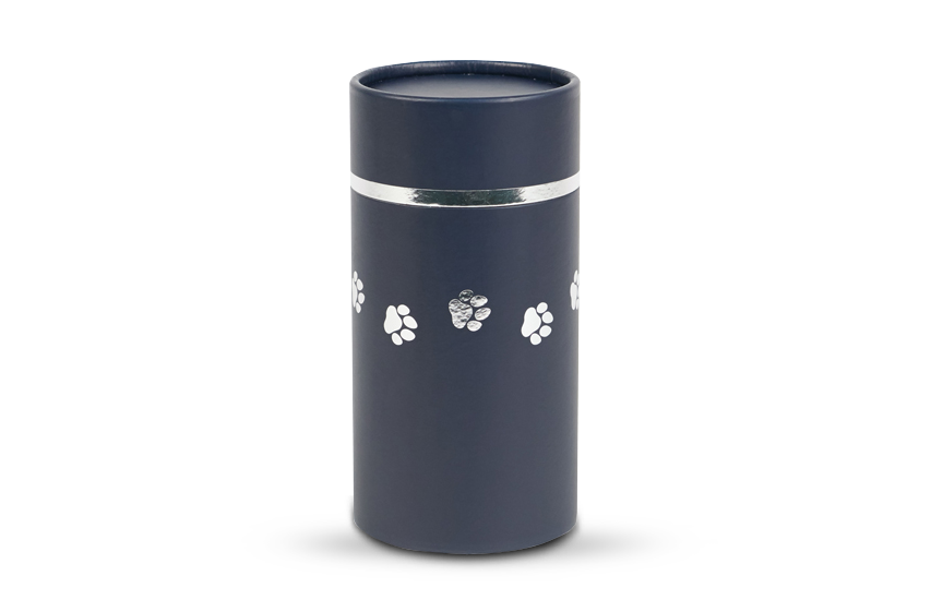 Blue Scattering Tube with Paw Prints Image